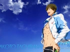 Free!, Makoto, Tachibana