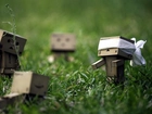 Danbo, Trawa, Zabawa, W Ciuciubabkę