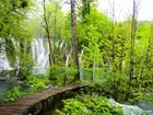 Wodospad, Las, Pomost, Plitvice, Chorwacja