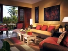 Salon, Balkon, Palmy