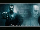 Apocalyptica,nuty, twarz