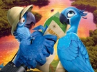 Rio2, Papużki, Rzeczka, Kapelusz