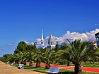 Batumi, Park, Palmy, Pałac