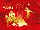 Polska, We are the champions, FIVB, 2014