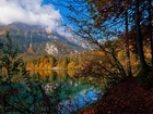 Góry, Lasy, Jezioro Tovel, Włochy, Jesień