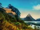 Góry, Roślinność, Milford, Nowa Zelandia