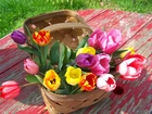 Kolorowe, Tulipany, Koszyk, Stół