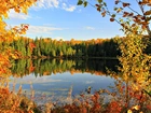 Jezioro, Drzewa, Jesień, Odbicie