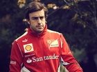 Fernando Alonso, Sportowa, Bluza