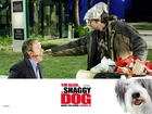 The Shaggy Dog, Tim Allen, bezdomny,kij, pies
