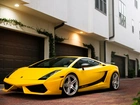 Żółte, Lamborghini, Gallardo