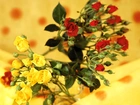 Kwiaty, Róże, Czerwone, Żółte, Tło Róża