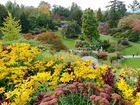 Vancouver, Park, Królowej, Elżbiety, Kwitnące, Kwiaty