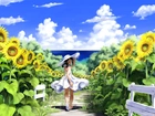 Lato, Dziewczynka, Pole, Słoneczniki, Manga Anime