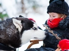 Dziecko, Zima, Gałązka, Pies,  Siberian Husky