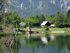 Góry, Lasy, Jezioro, Bohinj, Domy