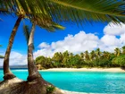 Ocean, Plaża, Wyspa, Palmy, Tropiki