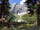 Jezioro Rawson, Alberta, Kanada, Góry, Lasy, Drzewa
