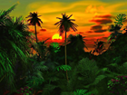 Zachód Słońca, Dżungla, Palmy