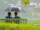 Park, Deszcz, Ławka, Para, Parasol