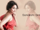 Sonakshi Sinha, Napis