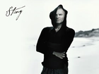 Sting, Kaptur