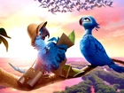 Film, Animowany, Rio 2, Papugi