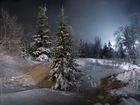 Zima, Śnieg, Noc, Drzewa