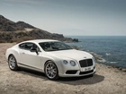 Bentley, Continental, GT3