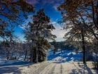 Zima, Droga, Drzewa, Wonderland, Norwegia, Zimowe, Słońce
