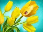 Żółte, Tulipany, Biedronka