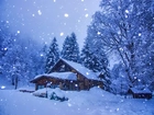 Zima, Śnieg, Dom, Drzewa