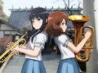 Hibike! Euphonium, Kousaka Reina, Oumae Kumiko