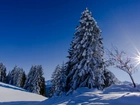Zima, Wzgórza, Ośnieżone, Drzewa ,Śnieg ,Promienie, Słońca
