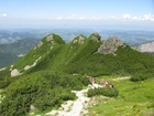 Góry, Zieleń, Kosodrzewina, Ostańce, Tatry