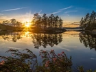 Norwegia, Wschód Słońca, Jezioro, Drzewa