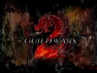 Gra, Guild Wars 2