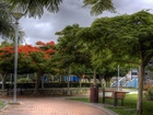 Park, Bench, Nature, Spain, Aleja, Wyspy, Kanaryjskie