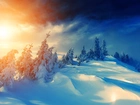 Zima, Wzgórza, Ośnieżone, Drzewa, Zachód, Słońca, Śnieg