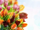 Kwiaty, Bukiet, Tulipany