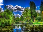 Park, Staw, Chmury, HDR