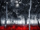 Las, Śnieg, Drzewa, Czerwona Paproć