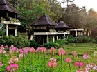 Hotelowe, Domki, Chaing Mai, Tajlandia