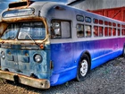 Stary, Autobus