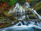Panther Creek Falls, Wodospad, Las, Rzeka, Drzewa, Miejsce chronione, Gifford Pinchot National Forest, Stan Waszyngton, Stany Zjednoczone