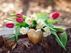 Róże, Tulipany, Serduszko