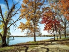Jesień, Park, Kolorowe Drzewa, Jezioro, Krajobraz