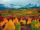 Jesień, Góry, Lasy