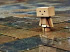 Danbo, Mokry, Chodnik, Odbicie