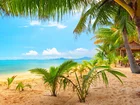 Plaża, Palmy, Domek, Morze, Tropiki